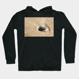 Seashell On The Beach Hoodie